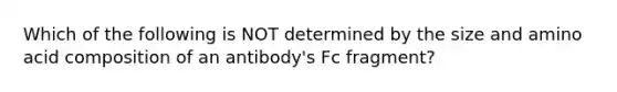 Which of the following is NOT determined by the size and amino acid composition of an antibody's Fc fragment?