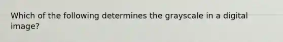 Which of the following determines the grayscale in a digital image?