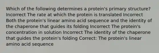 Which of the following determines a protein's primary structure? Incorrect The rate at which the protein is translated Incorrect Both the protein's linear amino acid sequence and the identity of the chaperone that guides its folding Incorrect The protein's concentration in solution Incorrect The identity of the chaperone that guides the protein's folding Correct: The protein's linear amino acid sequence