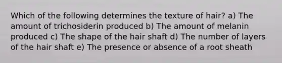 Which of the following determines the texture of hair? a) The amount of trichosiderin produced b) The amount of melanin produced c) The shape of the hair shaft d) The number of layers of the hair shaft e) The presence or absence of a root sheath