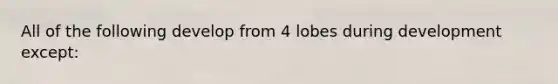 All of the following develop from 4 lobes during development except: