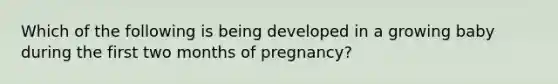 Which of the following is being developed in a growing baby during the first two months of pregnancy?