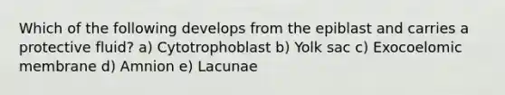 Which of the following develops from the epiblast and carries a protective fluid? a) Cytotrophoblast b) Yolk sac c) Exocoelomic membrane d) Amnion e) Lacunae