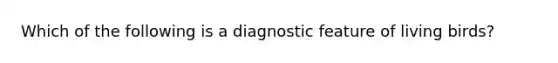 Which of the following is a diagnostic feature of living birds?