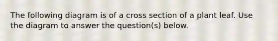 The following diagram is of a cross section of a plant leaf. Use the diagram to answer the question(s) below.