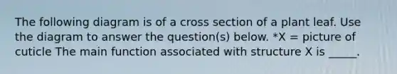 The following diagram is of a cross section of a plant leaf. Use the diagram to answer the question(s) below. *X = picture of cuticle The main function associated with structure X is _____.