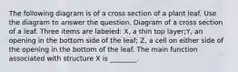 The following diagram is of a cross section of a plant leaf. Use the diagram to answer the question. Diagram of a cross section of a leaf. Three items are labeled: X, a thin top layer;Y, an opening in the bottom side of the leaf; Z, a cell on either side of the opening in the bottom of the leaf. The main function associated with structure X is ________.