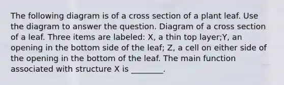 The following diagram is of a cross section of a plant leaf. Use the diagram to answer the question. Diagram of a cross section of a leaf. Three items are labeled: X, a thin top layer;Y, an opening in the bottom side of the leaf; Z, a cell on either side of the opening in the bottom of the leaf. The main function associated with structure X is ________.