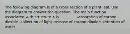 The following diagram is of a cross section of a plant leaf. Use the diagram to answer the question. The main function associated with structure X is ________. -absorption of carbon dioxide -collection of light -release of carbon dioxide -retention of water