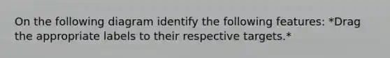 On the following diagram identify the following features: *Drag the appropriate labels to their respective targets.*