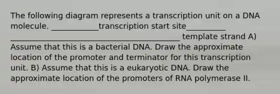 The following diagram represents a transcription unit on a DNA molecule. ____________transcription start site__________ ___________________________________________ template strand A) Assume that this is a bacterial DNA. Draw the approximate location of the promoter and terminator for this transcription unit. B) Assume that this is a eukaryotic DNA. Draw the approximate location of the promoters of RNA polymerase II.