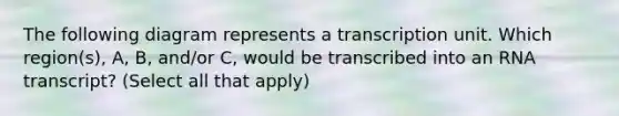 The following diagram represents a transcription unit. Which region(s), A, B, and/or C, would be transcribed into an RNA transcript? (Select all that apply)