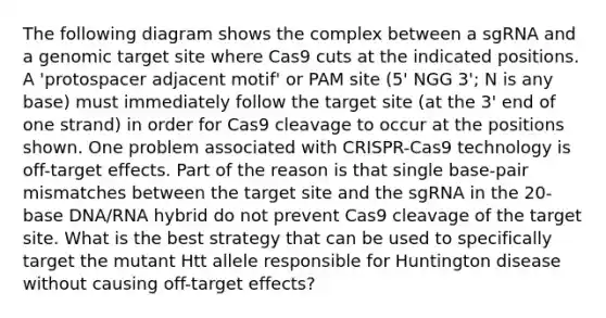 The following diagram shows the complex between a sgRNA and a genomic target site where Cas9 cuts at the indicated positions. A 'protospacer adjacent motif' or PAM site (5' NGG 3'; N is any base) must immediately follow the target site (at the 3' end of one strand) in order for Cas9 cleavage to occur at the positions shown. One problem associated with CRISPR-Cas9 technology is off-target effects. Part of the reason is that single base-pair mismatches between the target site and the sgRNA in the 20-base DNA/RNA hybrid do not prevent Cas9 cleavage of the target site. What is the best strategy that can be used to specifically target the mutant Htt allele responsible for Huntington disease without causing off-target effects?