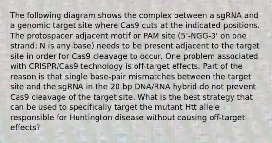 The following diagram shows the complex between a sgRNA and a genomic target site where Cas9 cuts at the indicated positions. The protospacer adjacent motif or PAM site (5'-NGG-3' on one strand; N is any base) needs to be present adjacent to the target site in order for Cas9 cleavage to occur. One problem associated with CRISPR/Cas9 technology is off-target effects. Part of the reason is that single base-pair mismatches between the target site and the sgRNA in the 20 bp DNA/RNA hybrid do not prevent Cas9 cleavage of the target site. What is the best strategy that can be used to specifically target the mutant Htt allele responsible for Huntington disease without causing off-target effects?