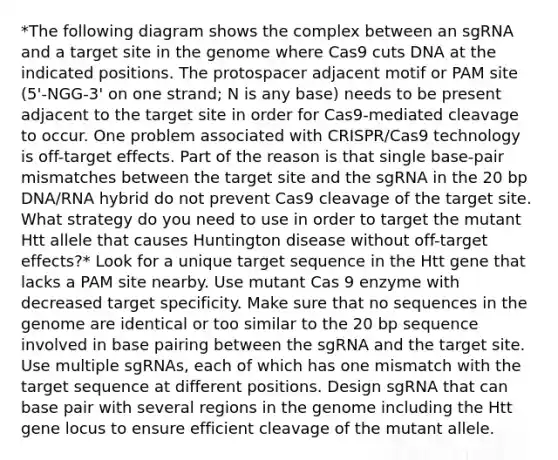 *The following diagram shows the complex between an sgRNA and a target site in the genome where Cas9 cuts DNA at the indicated positions. The protospacer adjacent motif or PAM site (5'-NGG-3' on one strand; N is any base) needs to be present adjacent to the target site in order for Cas9-mediated cleavage to occur. One problem associated with CRISPR/Cas9 technology is off-target effects. Part of the reason is that single base-pair mismatches between the target site and the sgRNA in the 20 bp DNA/RNA hybrid do not prevent Cas9 cleavage of the target site. What strategy do you need to use in order to target the mutant Htt allele that causes Huntington disease without off-target effects?* Look for a unique target sequence in the Htt gene that lacks a PAM site nearby. Use mutant Cas 9 enzyme with decreased target specificity. Make sure that no sequences in the genome are identical or too similar to the 20 bp sequence involved in base pairing between the sgRNA and the target site. Use multiple sgRNAs, each of which has one mismatch with the target sequence at different positions. Design sgRNA that can base pair with several regions in the genome including the Htt gene locus to ensure efficient cleavage of the mutant allele.