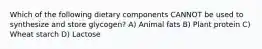 Which of the following dietary components CANNOT be used to synthesize and store glycogen? A) Animal fats B) Plant protein C) Wheat starch D) Lactose