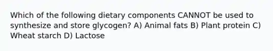 Which of the following dietary components CANNOT be used to synthesize and store glycogen? A) Animal fats B) Plant protein C) Wheat starch D) Lactose