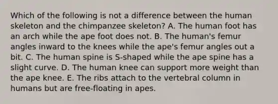 Which of the following is not a difference between the human skeleton and the chimpanzee skeleton? A. The human foot has an arch while the ape foot does not. B. The human's femur angles inward to the knees while the ape's femur angles out a bit. C. The human spine is S-shaped while the ape spine has a slight curve. D. The human knee can support more weight than the ape knee. E. The ribs attach to the vertebral column in humans but are free-floating in apes.