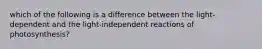 which of the following is a difference between the light-dependent and the light-independent reactions of photosynthesis?