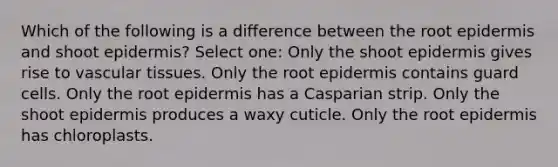 Which of the following is a difference between the root epidermis and shoot epidermis? Select one: Only the shoot epidermis gives rise to <a href='https://www.questionai.com/knowledge/k1HVFq17mo-vascular-tissue' class='anchor-knowledge'>vascular tissue</a>s. Only the root epidermis contains guard cells. Only the root epidermis has a Casparian strip. Only the shoot epidermis produces a waxy cuticle. Only the root epidermis has chloroplasts.