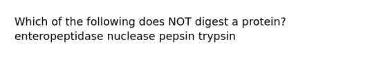 Which of the following does NOT digest a protein? enteropeptidase nuclease pepsin trypsin