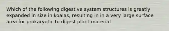 Which of the following digestive system structures is greatly expanded in size in koalas, resulting in in a very large surface area for prokaryotic to digest plant material