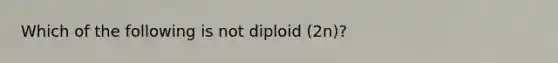 Which of the following is not diploid (2n)?