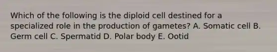 Which of the following is the diploid cell destined for a specialized role in the production of gametes? A. Somatic cell B. Germ cell C. Spermatid D. Polar body E. Ootid