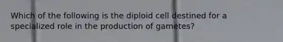 Which of the following is the diploid cell destined for a specialized role in the production of gametes?