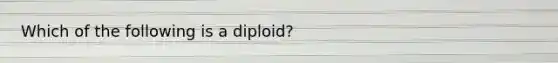 Which of the following is a diploid?