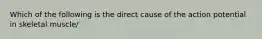 Which of the following is the direct cause of the action potential in skeletal muscle/