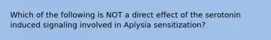 Which of the following is NOT a direct effect of the serotonin induced signaling involved in Aplysia sensitization?