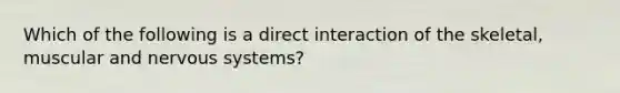 Which of the following is a direct interaction of the skeletal, muscular and nervous systems?