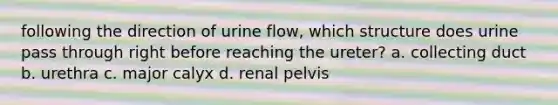 following the direction of urine flow, which structure does urine pass through right before reaching the ureter? a. collecting duct b. urethra c. major calyx d. renal pelvis