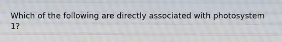 Which of the following are directly associated with photosystem 1?