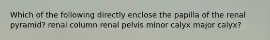 Which of the following directly enclose the papilla of the renal pyramid? renal column renal pelvis minor calyx major calyx?