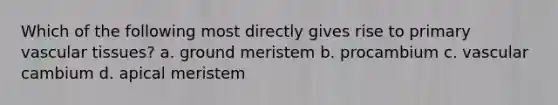 Which of the following most directly gives rise to primary <a href='https://www.questionai.com/knowledge/k1HVFq17mo-vascular-tissue' class='anchor-knowledge'>vascular tissue</a>s? a. ground meristem b. procambium c. vascular cambium d. apical meristem