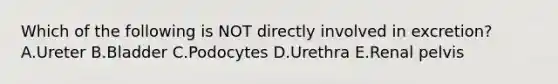 Which of the following is NOT directly involved in excretion? A.Ureter B.Bladder C.Podocytes D.Urethra E.Renal pelvis