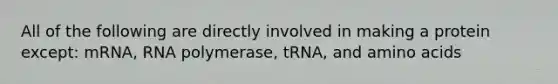 All of the following are directly involved in making a protein except: mRNA, RNA polymerase, tRNA, and amino acids