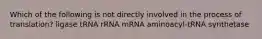 Which of the following is not directly involved in the process of translation? ligase tRNA rRNA mRNA aminoacyl-tRNA synthetase