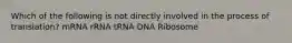 Which of the following is not directly involved in the process of translation? mRNA rRNA tRNA DNA Ribosome