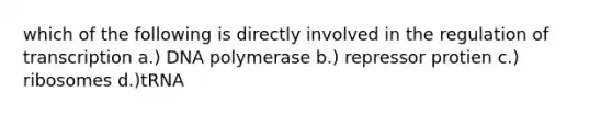 which of the following is directly involved in the regulation of transcription a.) DNA polymerase b.) repressor protien c.) ribosomes d.)tRNA