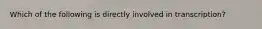 Which of the following is directly involved in transcription?