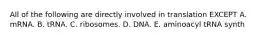 All of the following are directly involved in translation EXCEPT A. mRNA. B. tRNA. C. ribosomes. D. DNA. E. aminoacyl tRNA synth