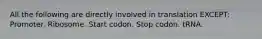 All the following are directly involved in translation EXCEPT: Promoter. Ribosome. Start codon. Stop codon. tRNA.