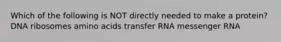 Which of the following is NOT directly needed to make a protein? DNA ribosomes <a href='https://www.questionai.com/knowledge/k9gb720LCl-amino-acids' class='anchor-knowledge'>amino acids</a> <a href='https://www.questionai.com/knowledge/kYREgpZMtc-transfer-rna' class='anchor-knowledge'>transfer rna</a> <a href='https://www.questionai.com/knowledge/kDttgcz0ig-messenger-rna' class='anchor-knowledge'>messenger rna</a>