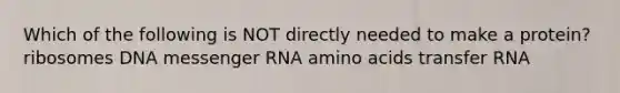 Which of the following is NOT directly needed to make a protein? ribosomes DNA <a href='https://www.questionai.com/knowledge/kDttgcz0ig-messenger-rna' class='anchor-knowledge'>messenger rna</a> <a href='https://www.questionai.com/knowledge/k9gb720LCl-amino-acids' class='anchor-knowledge'>amino acids</a> <a href='https://www.questionai.com/knowledge/kYREgpZMtc-transfer-rna' class='anchor-knowledge'>transfer rna</a>