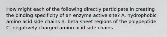 How might each of the following directly participate in creating the binding specificity of an enzyme active site? A. hydrophobic amino acid side chains B. beta-sheet regions of the polypeptide C. negatively charged amino acid side chains