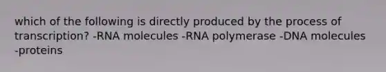 which of the following is directly produced by the process of transcription? -RNA molecules -RNA polymerase -DNA molecules -proteins