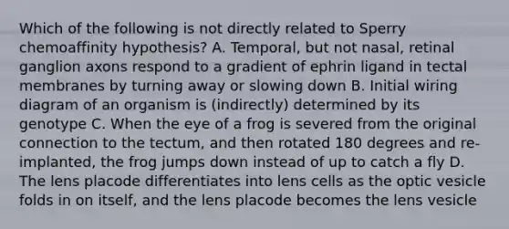 Which of the following is not directly related to Sperry chemoaffinity hypothesis? A. Temporal, but not nasal, retinal ganglion axons respond to a gradient of ephrin ligand in tectal membranes by turning away or slowing down B. Initial wiring diagram of an organism is (indirectly) determined by its genotype C. When the eye of a frog is severed from the original connection to the tectum, and then rotated 180 degrees and re-implanted, the frog jumps down instead of up to catch a fly D. The lens placode differentiates into lens cells as the optic vesicle folds in on itself, and the lens placode becomes the lens vesicle